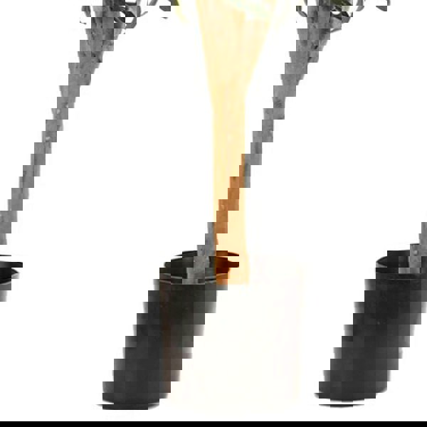 Leaf 90cm Artificial Deluxe Olive Tree