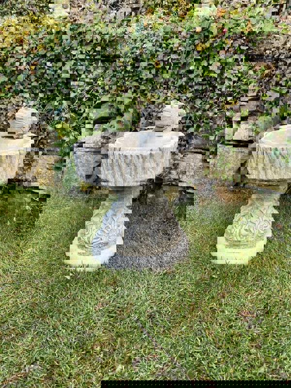 Rustic Garden Birdbath with Frog atop