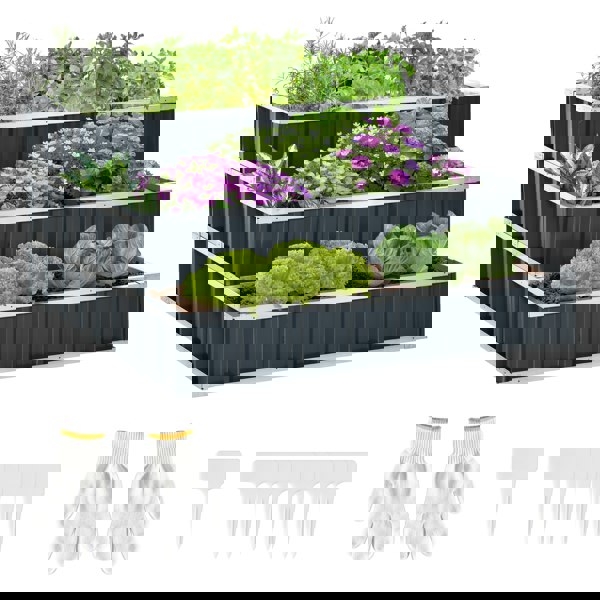 Garden Bed