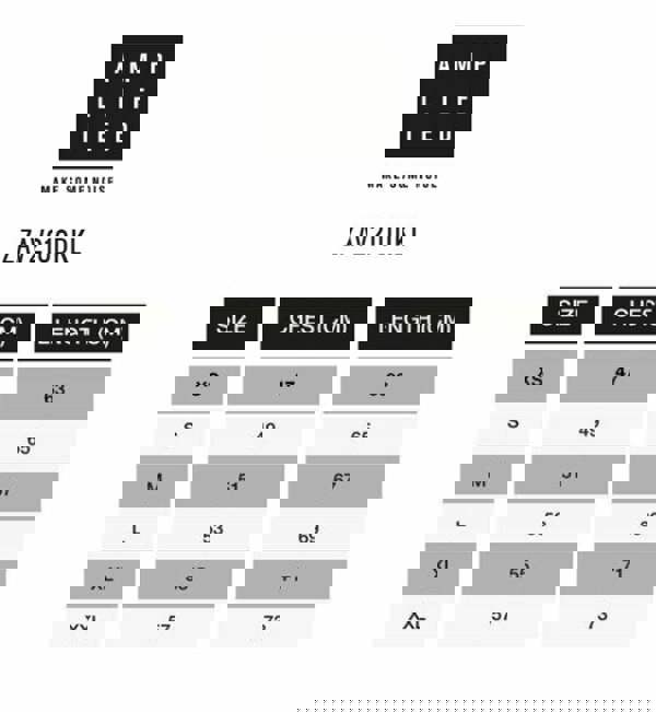 Amplified Clothing Mens Grey Pink Floyd Short Sleeved T-Shirt