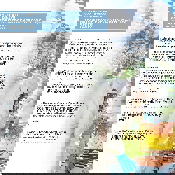 BEE&YOU Vitamin C Propolis Shot + Zinc x12