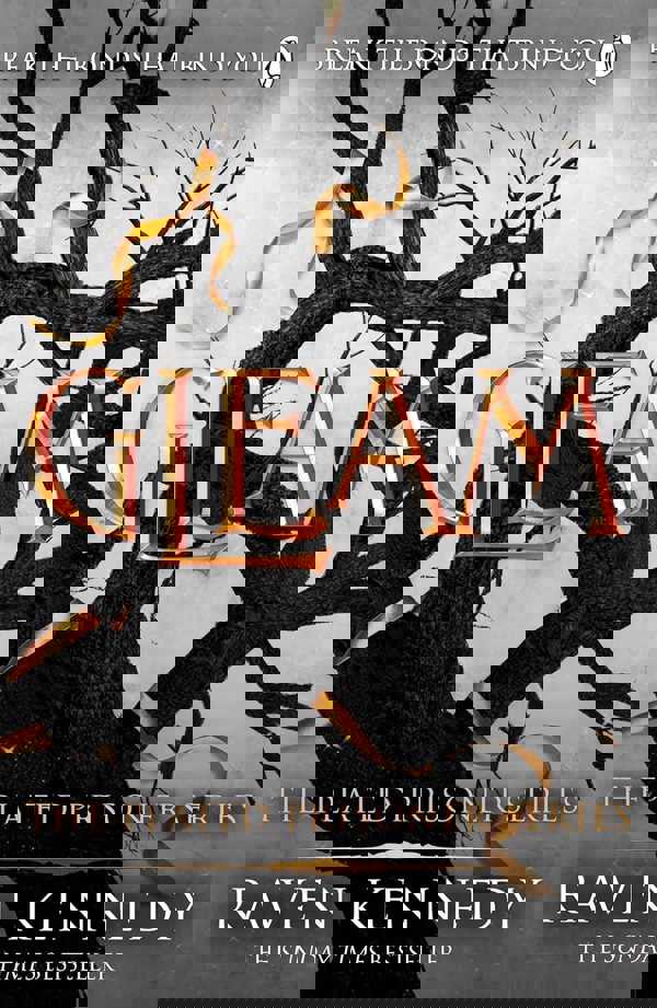 The Plated Prisoner Series 5 Books Set by Raven Kennedy and Gods and Monsters Series 3 Books Set by Amber V. Nicole