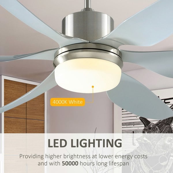 Ceiling Fan With Light