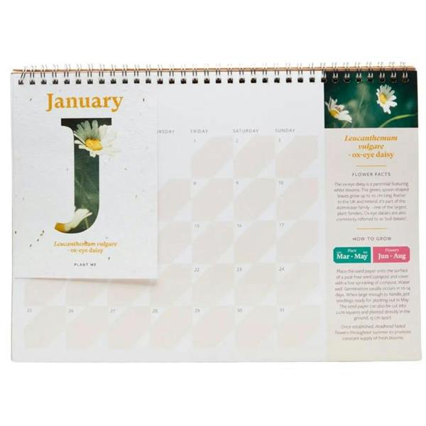 RHS, Plantable Flower Large Easel Desk Calendar 2027, Desk Calendars, Month To View, Lifestyle, Gift