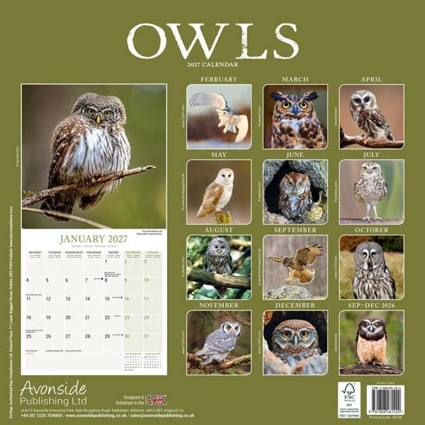Owls Calendar 2027, Wall Calendars, Month To View, Animals, Gift