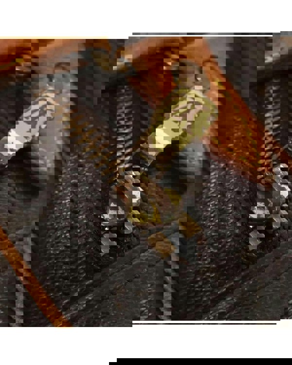 193972329.jpg