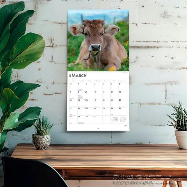 Cows Calendar 2027, Wall Calendars, Month To View, Animals, Gift