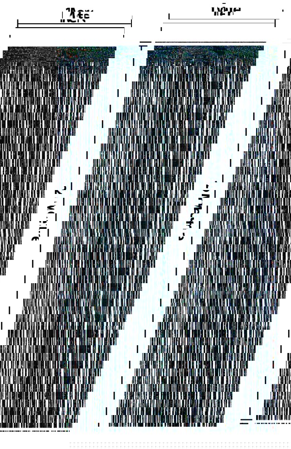 Cheetah Shimmer Tinsel Curtain, 2M x 1M Black