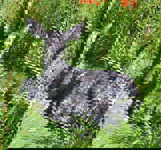 Inspirational Gifting Large Doe and Baby Fawn Garden Sculpture Deer Ornament