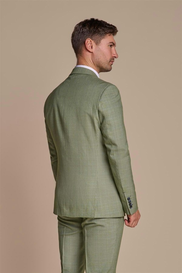 Caridi Sage Blazer Back