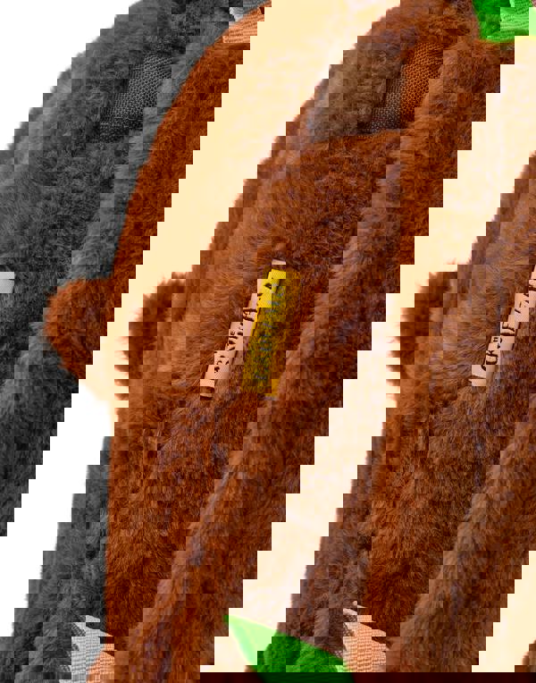 Gruffalo & Friends Unisex Kids Brown 3D Novelty Face Backpack (One Size)