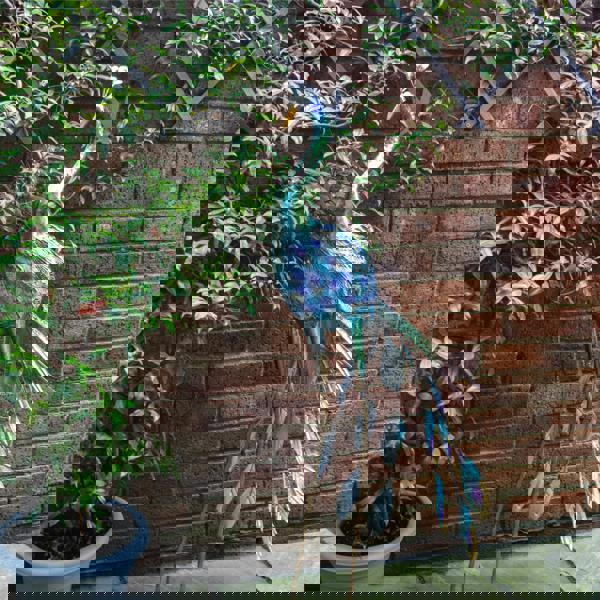 St Helens Metal Peacock Garden Ornament 108cm Height