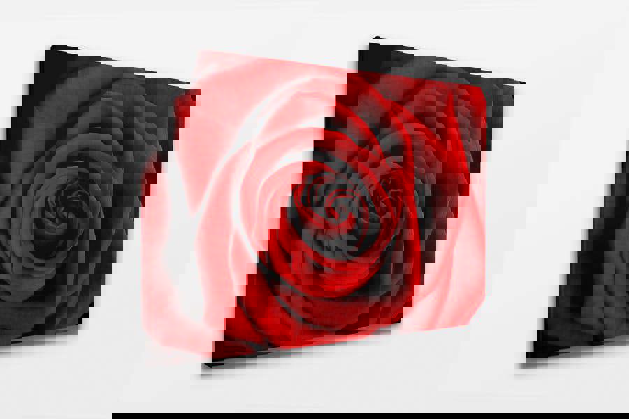 red rose canvas wall art