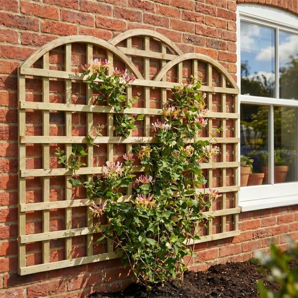 5 pack trellis triple dome square [w.6ft x h.1ft] 1