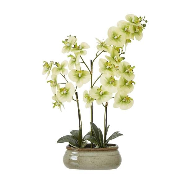 Hill Interiors Ceramic Orchid Artificial Potted Plant - Green - 
