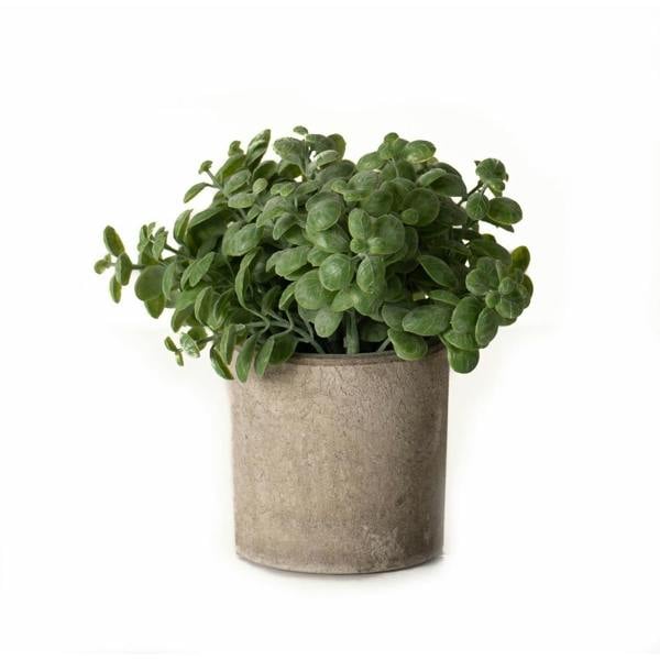 Hill Interiors Basil Artificial Plant - Green - 