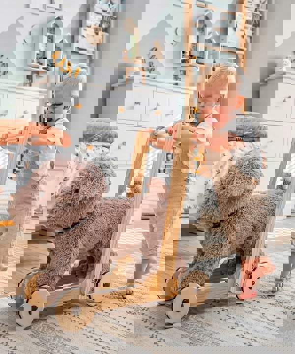 Little boy pushing bailey dog push along in nursery 