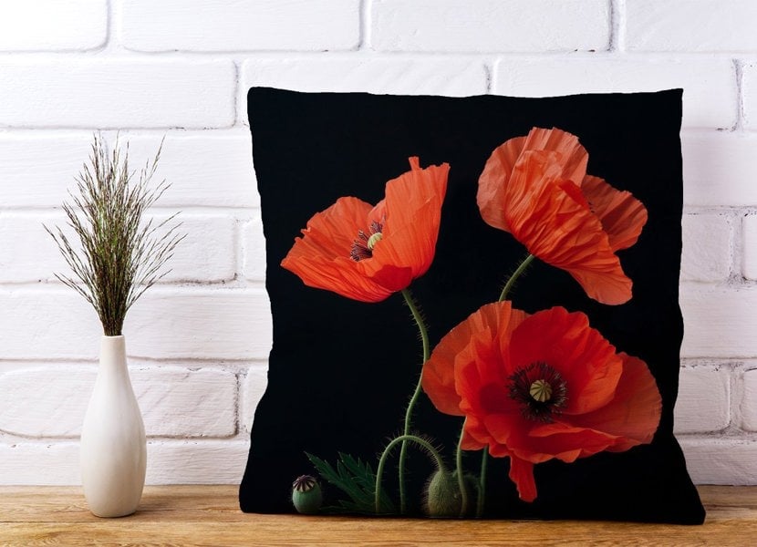 Warren Reed Poppies Cushions