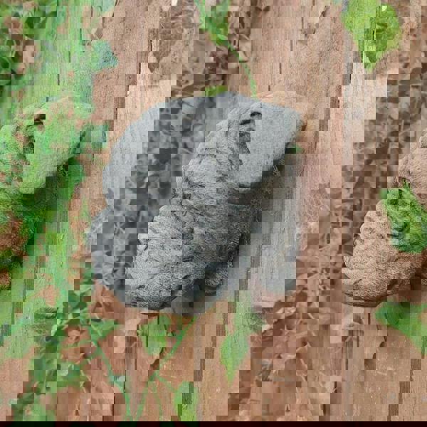 Adorable Bulldog Head Stone Wall Plaque