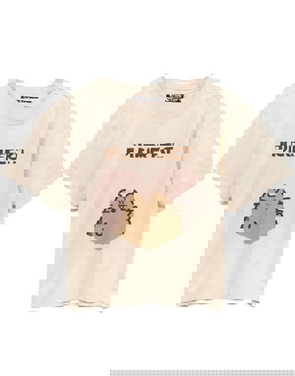 Pusheen Womens Beige Pusheen The Cat Short Sleeved T-Shirt