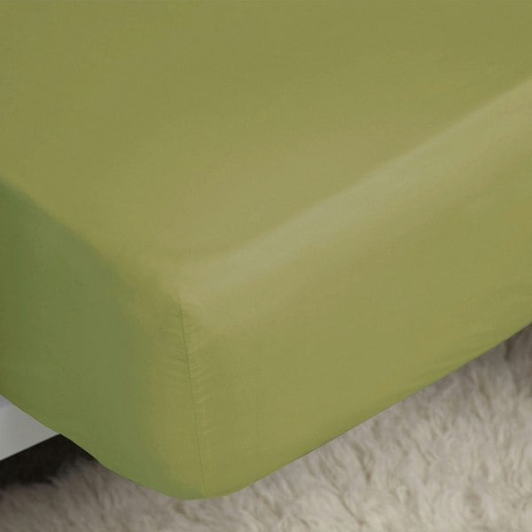 Belledorm Easycare Percale Fitted Sheet - Olive