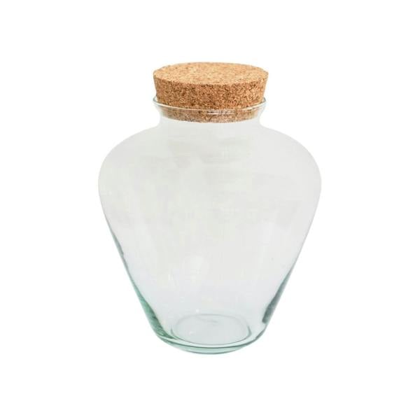 Ivyline Teardrop Glass Lid Terrarium - Small