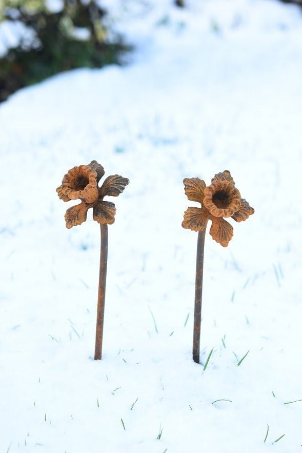 Rusty Flowers