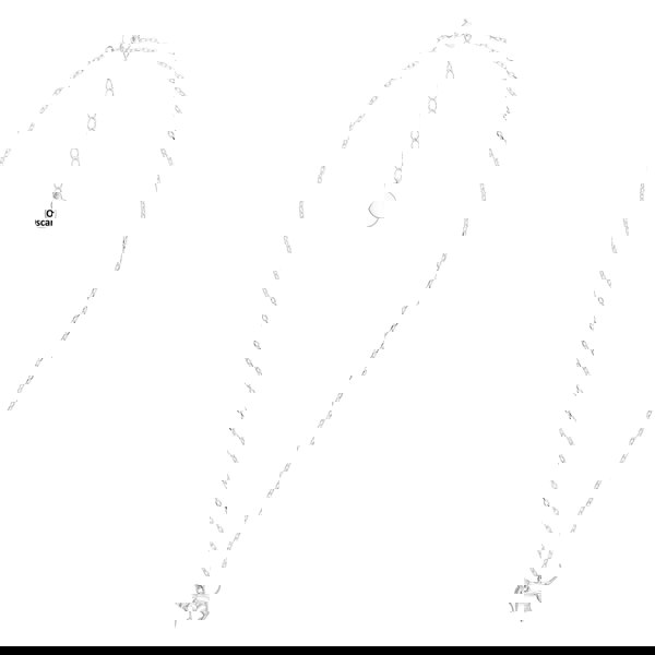 Short - Haired Cat Silver Necklace - Personalised - MYLEE London