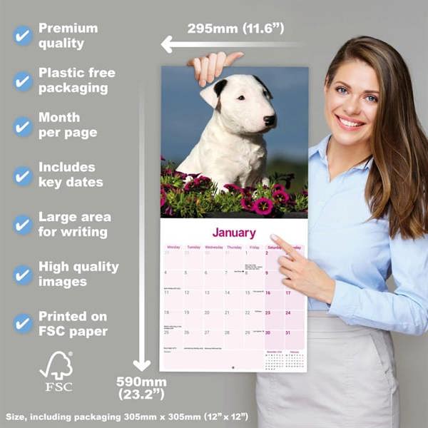 Bull Terrier Calendar 2027, Wall Calendars, Month To View, Dogs, Gift