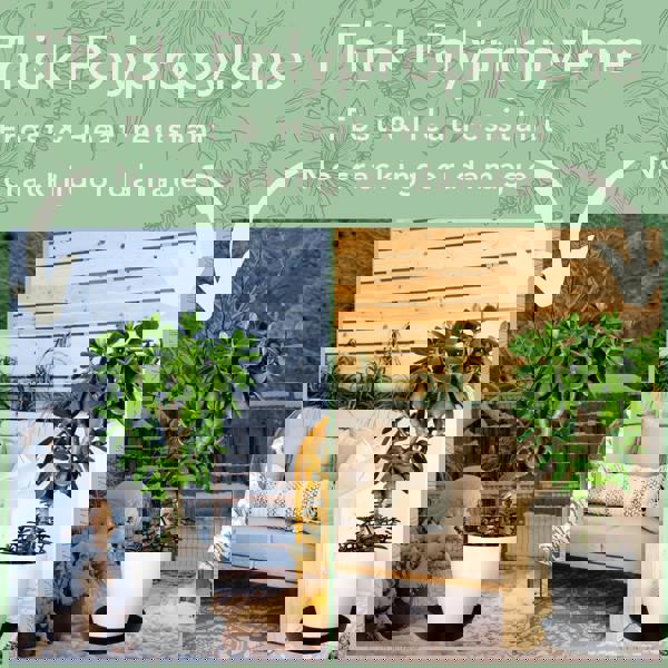 Indoor and Outdoor Use