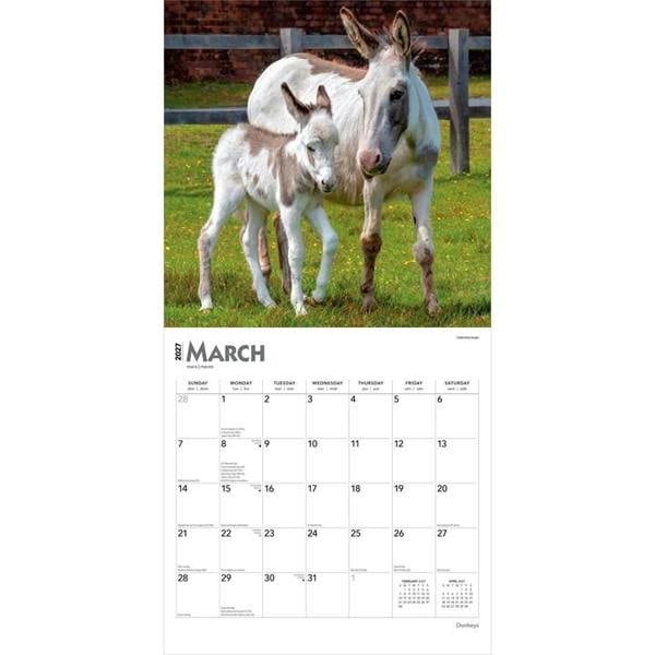 Donkeys Calendar 2027, Wall Calendars, Month To View, Animals, Gift