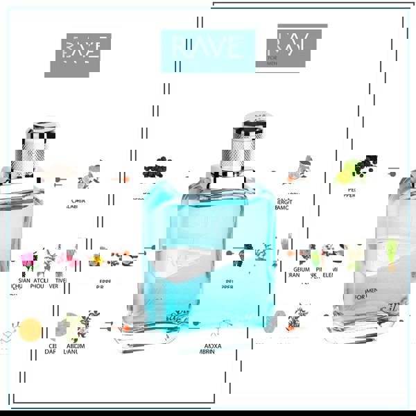 Sapil Rave Eau de Toilette 100ml citrus and spice ingredient notes