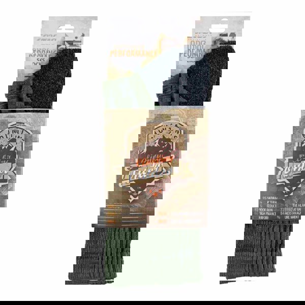 t4option1_4