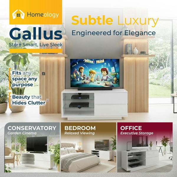 Homeology Gallus High Gloss White with 2-White Drawers and 3-Shelf 32"-55" LED/OLED/LCD TV Cabinet
