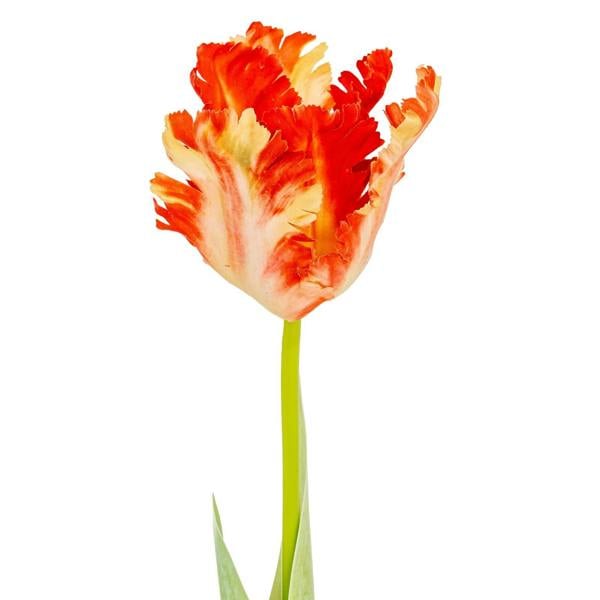 Wyld Haus Set of 3 Artificial Flowers Multi Pink Parrot Tulip Stems