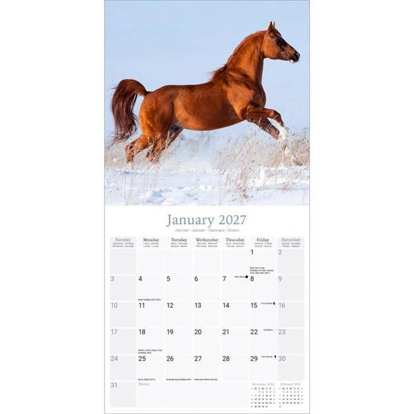 Arabian Horses Calendar 2027, Wall Calendars, Month To View, Animals, Gift