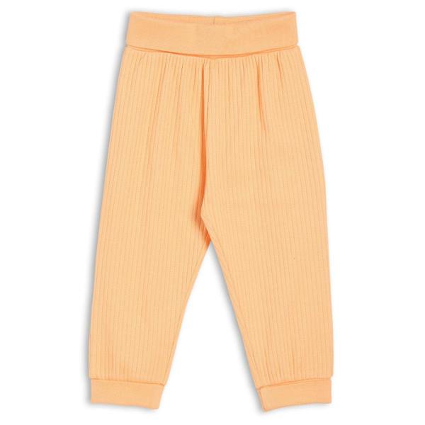 Mini Cuddles Baby Girls 3pk Fruits Print, Solid And Striped Leggings, Multicolour