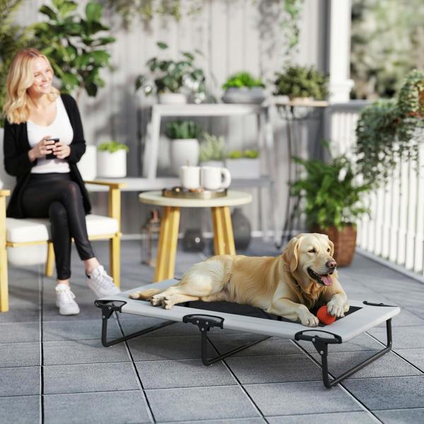 Elevated Dog Bed
