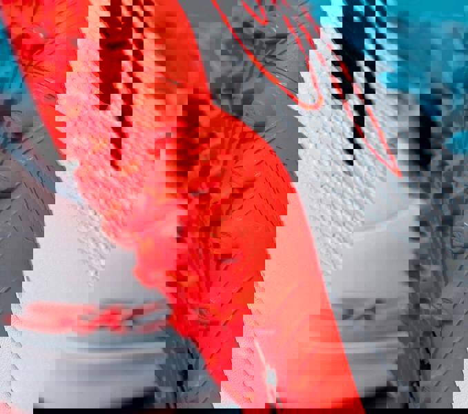 0f7aeb0d02ef577eb27fdab457854644