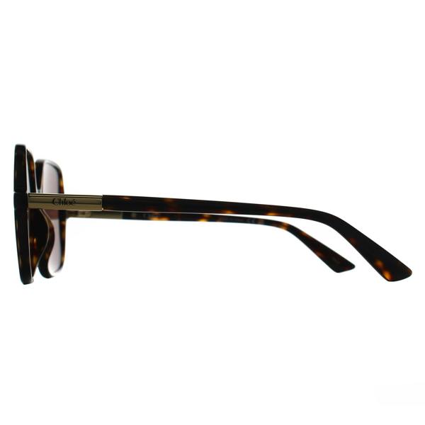 Chloe Sunglasses CH0362S 002 Dark Havana Brown