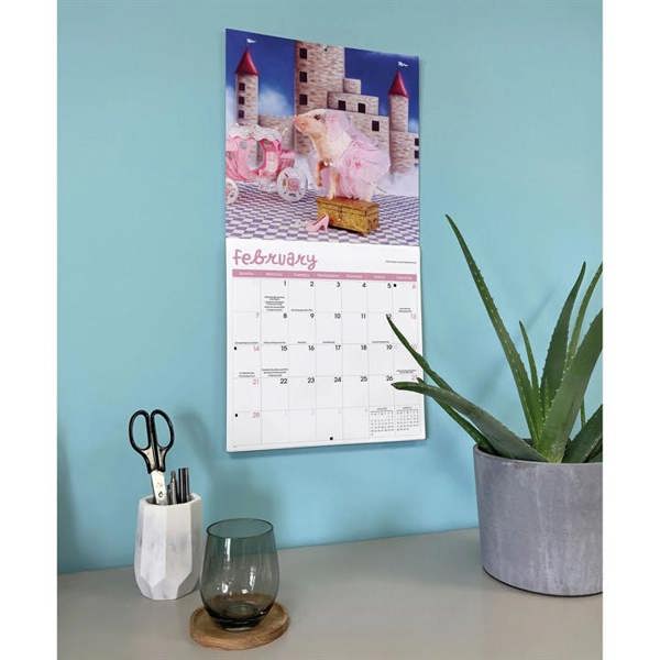 Playful Pigs Calendar 2027, Wall Calendars, Month To View, Animals, Gift