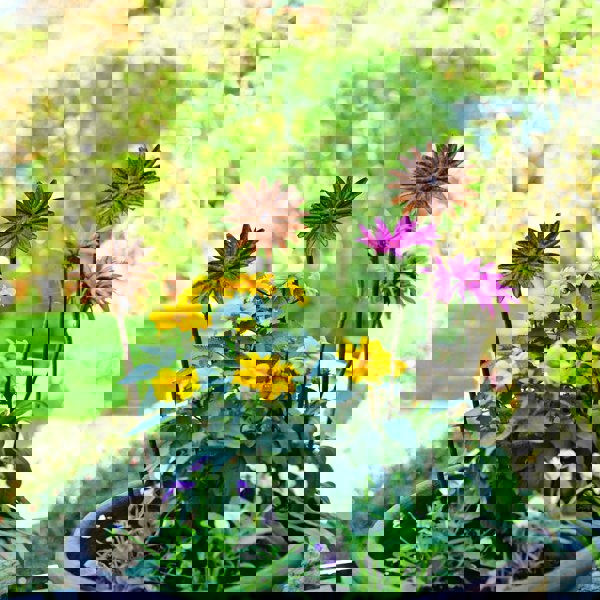 flower decor