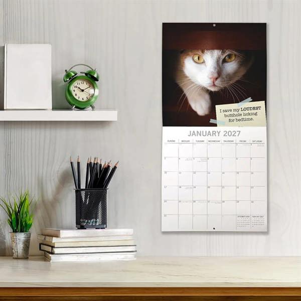 Cat Shaming Calendar 2027, Wall Calendars, Month To View, Cats, Gift