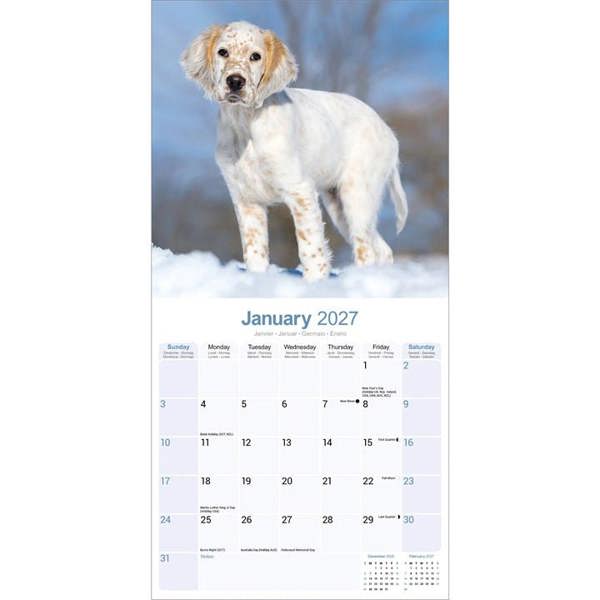 English Setter Calendar 2027, Wall Calendars, Month To View, Dogs, Gift