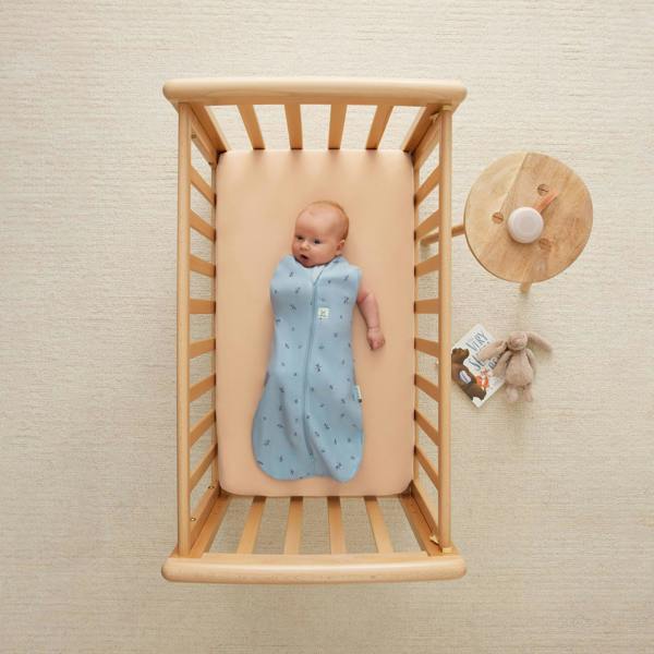 Organic All Year Cocoon Swaddle Sleeping Bag - Blue Dragonflies - 1.0 TOG