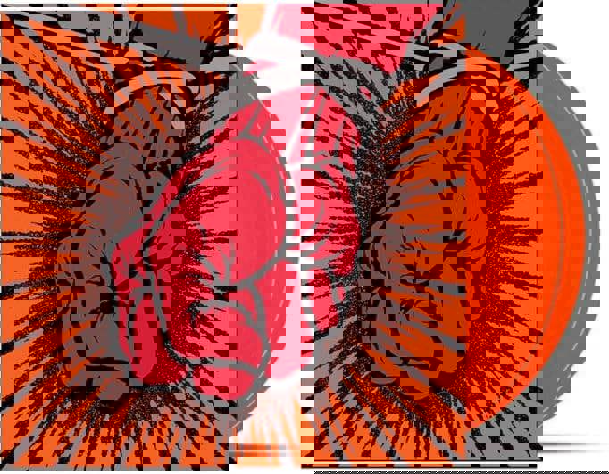 Metallica 'St. Anger' 2LP 'Some Kind Of Orange' Vinyl