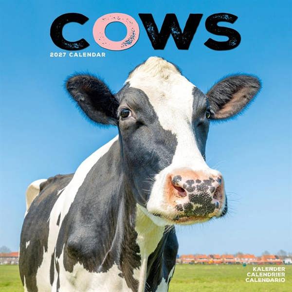 Cows Calendar 2027, Wall Calendars, Month To View, Animals, Gift