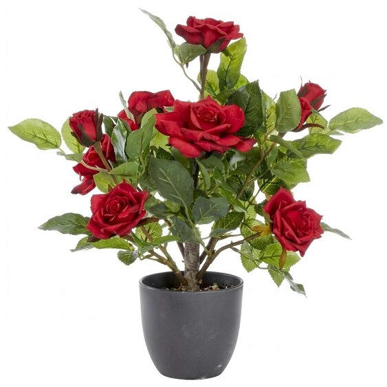 Regents 40cm Potted Artificial Roses in Ruby Red, Perfect Pink & Pure White