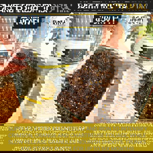 Bronte Heritage Acer Fertiliser – Controlled-release granules for Japanese Maples in borders, pots & containers, 120g