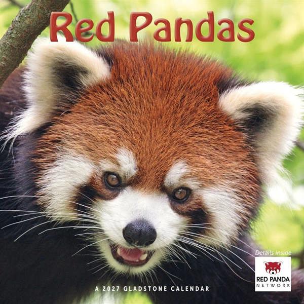 Unbranded Red Pandas Calendar 2027, Wall Calendars, Month To View, Animals, Gift